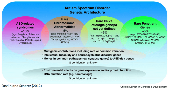 Overview of syndromic autism spectrum disorders