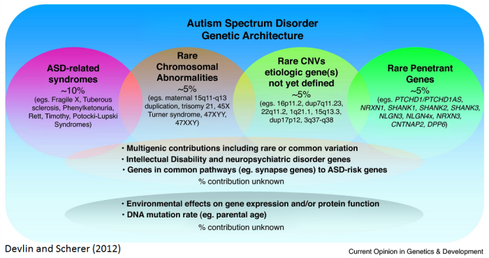 Overview of syndromic autism spectrum disorders