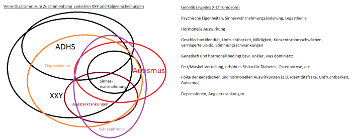 venndiagramm